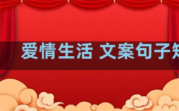 爱情生活 文案句子短句